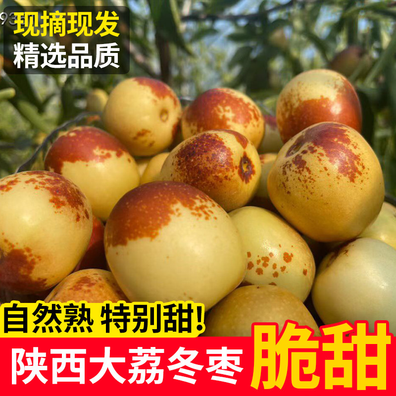 正宗大荔冬枣酥脆无渣现摘现发