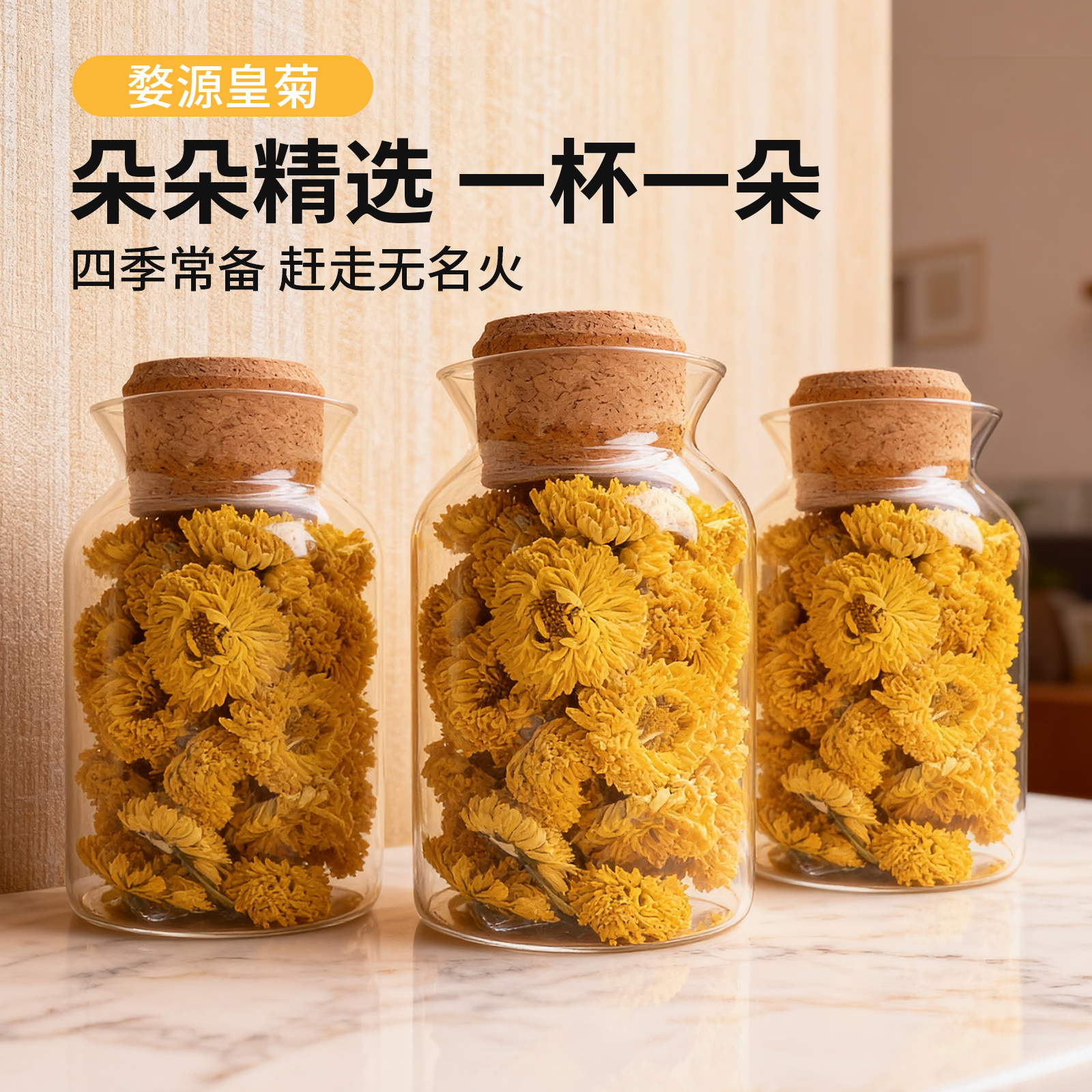 婺源皇菊新花头茬大朵一朵一杯江西特产级黄菊伴手礼物菊花茶养生