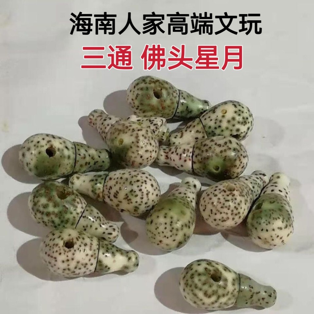 海南星月菩提籽配饰纯天然干磨原菩提