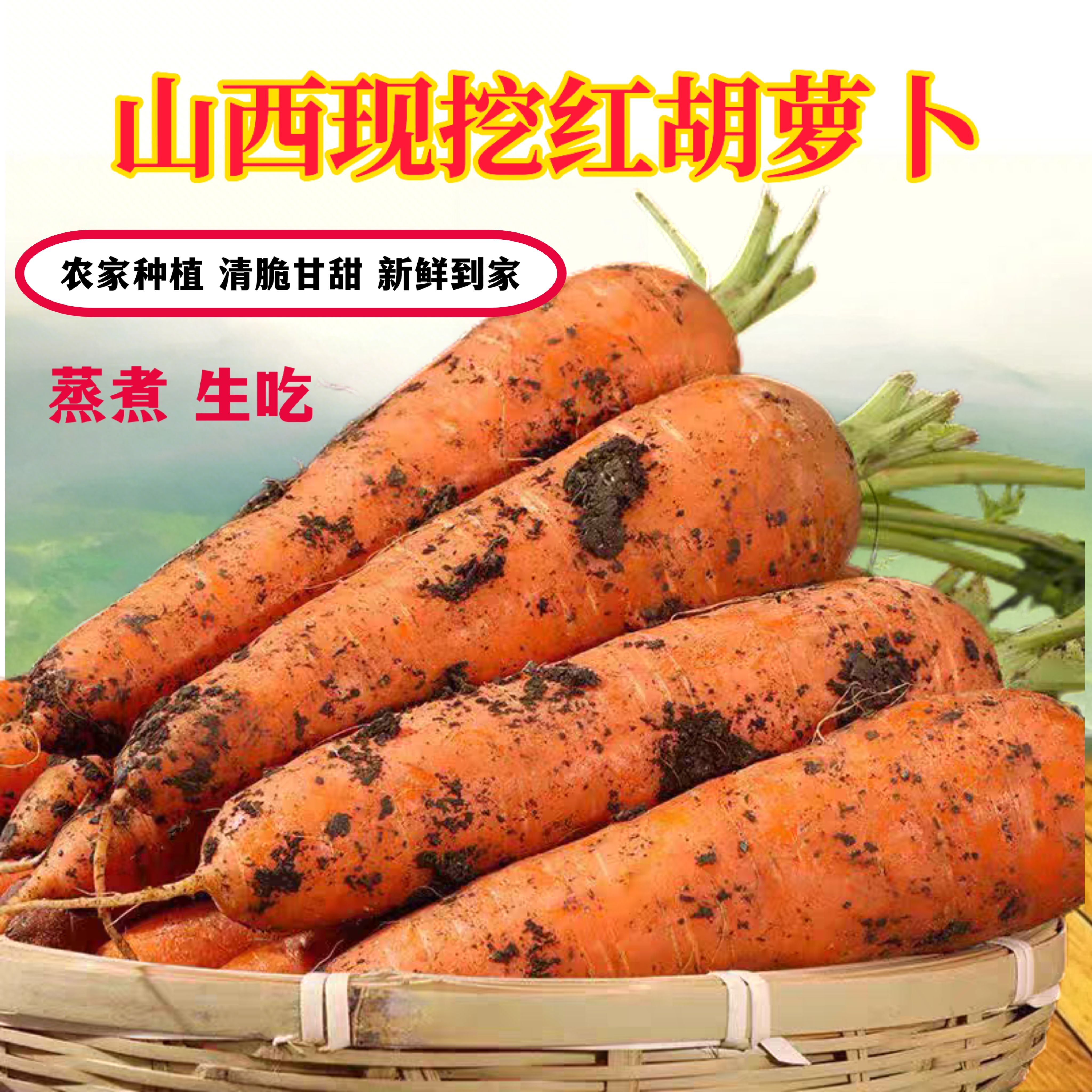 山西特产红胡萝卜新鲜现挖农家自种红心萝卜生吃脆甜即食蔬菜萝卜