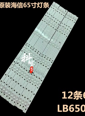 适用松下TH-65FX520C灯条LB65073 V0 SS-L背光SH65D06-ZC23AG-04
