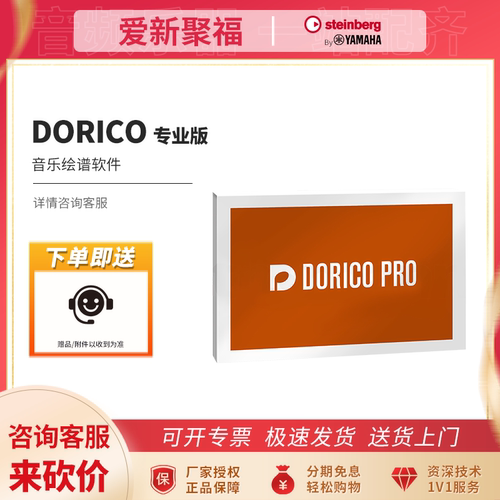DoricoPro5打谱软件