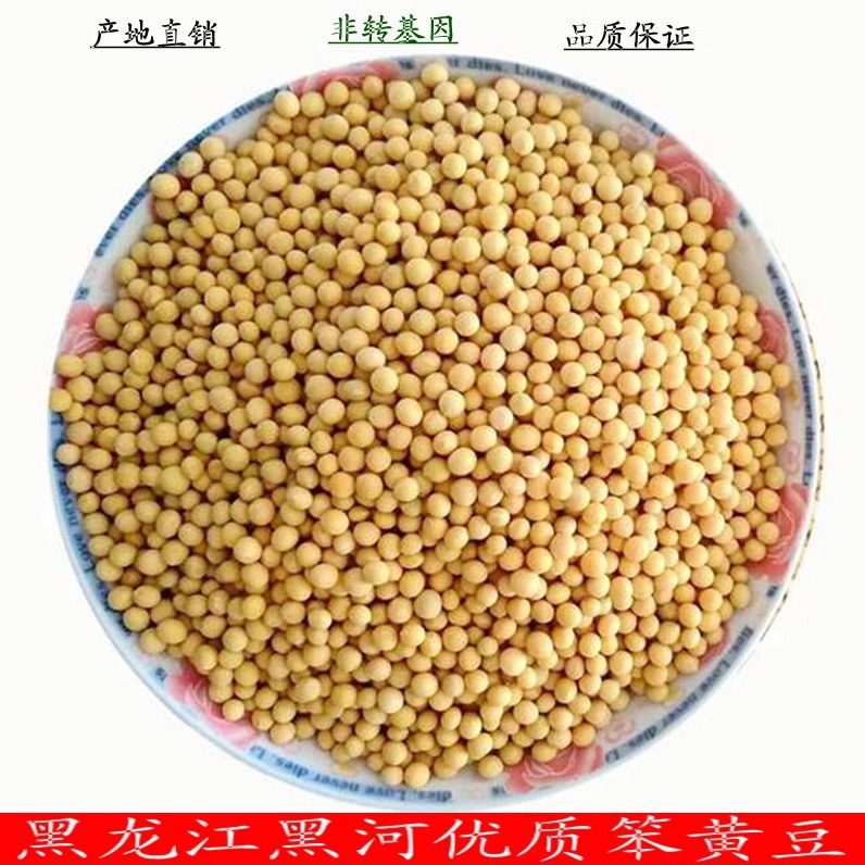 新豆东北非转基因农家自种笨黄豆黑龙江黑河大豆生豆芽打豆浆5斤