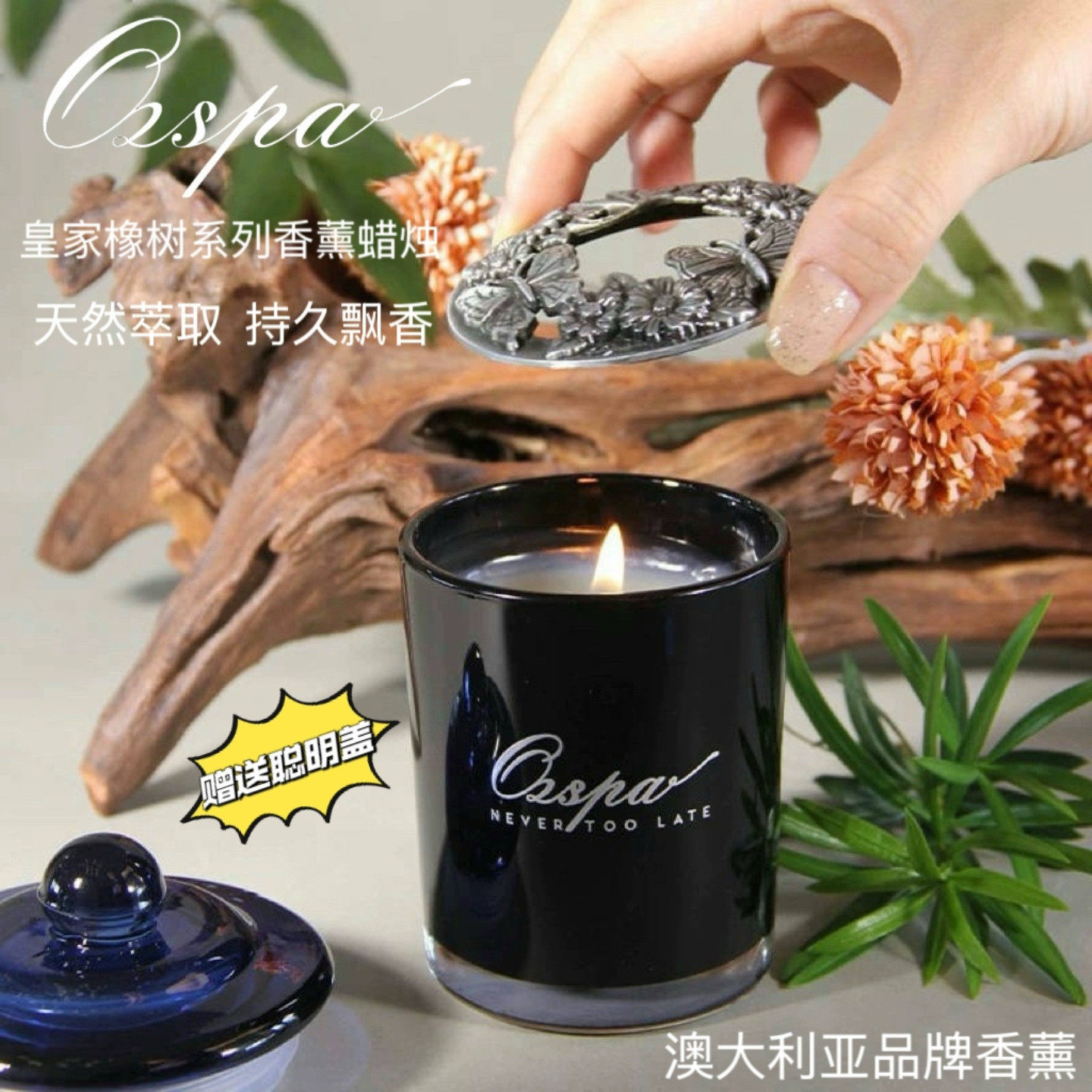 香薰蜡烛澳洲品牌卧室持久薰香玫瑰香浪漫情调香氛生日送礼