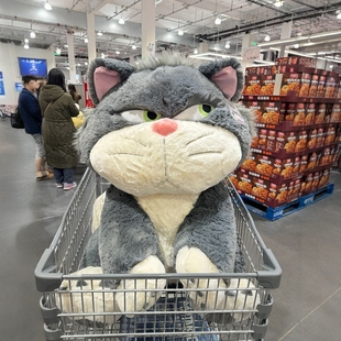 南京costco开市客代沟迪士尼大号路西法猫咪公仔玩偶巨型毛绒玩具