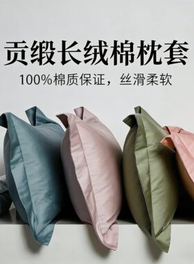 特价贡缎长绒棉透气纯色枕套一对