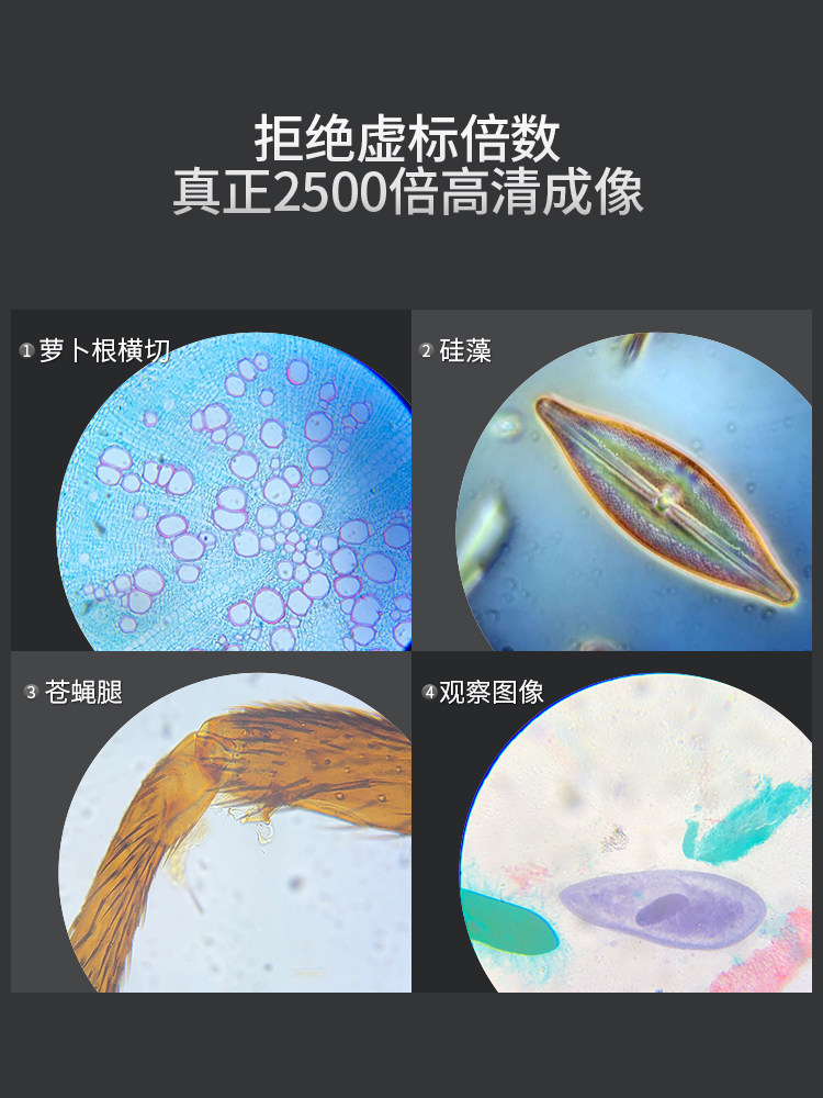 JIANGNAN YONGXIN 중학교 학생 특수 전문가 수준의 현미경 광학 생물학 가시 박테리아 초등학교 어린이 과학