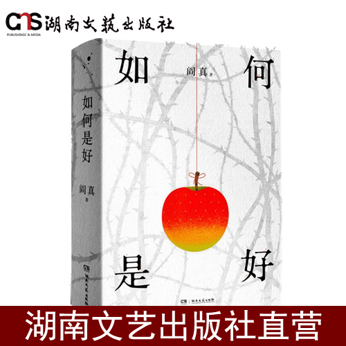 湖南文艺出版社如何是好