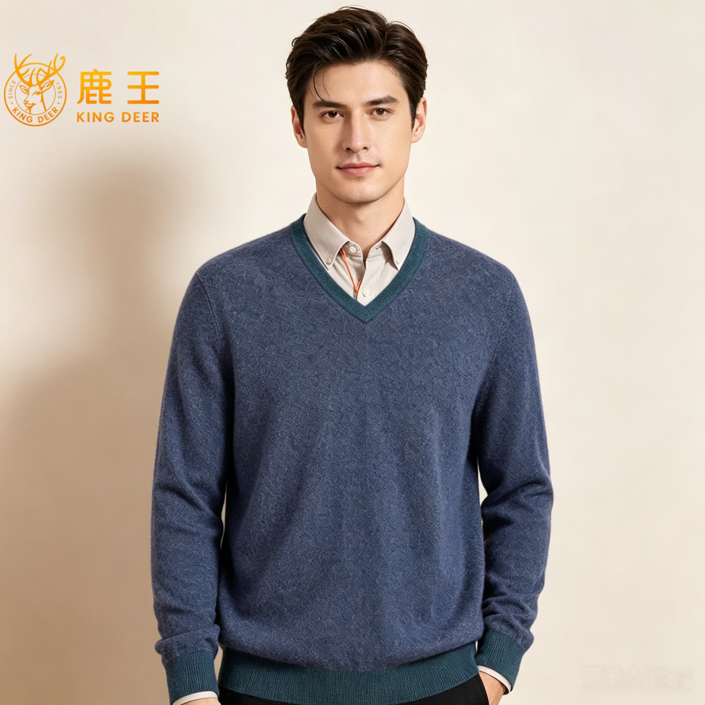鹿王男V领纯山羊绒保暖毛衣套头
