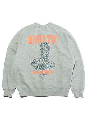 ABSURD LOGIC 荒诞逻辑 趣味海獭插肩袖美式复古加绒卫衣纯棉男女