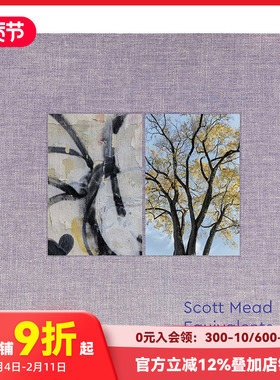 【现货】等价物：斯科特·米德 Equivalents: Scott Mead 进口原版英文摄影艺术 善本图书