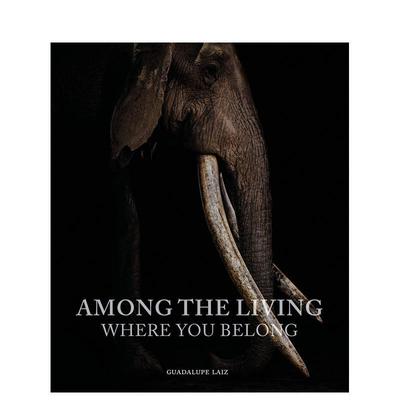 【预售】在生者之中：你属于哪里 Among the Living: Where You Belong 原版英文摄影
