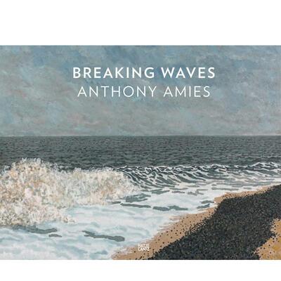 【预售】英文原版 安东尼·艾米斯：破浪 Anthony Amies: Breaking Waves 20世纪艺术画册 正版进口书籍