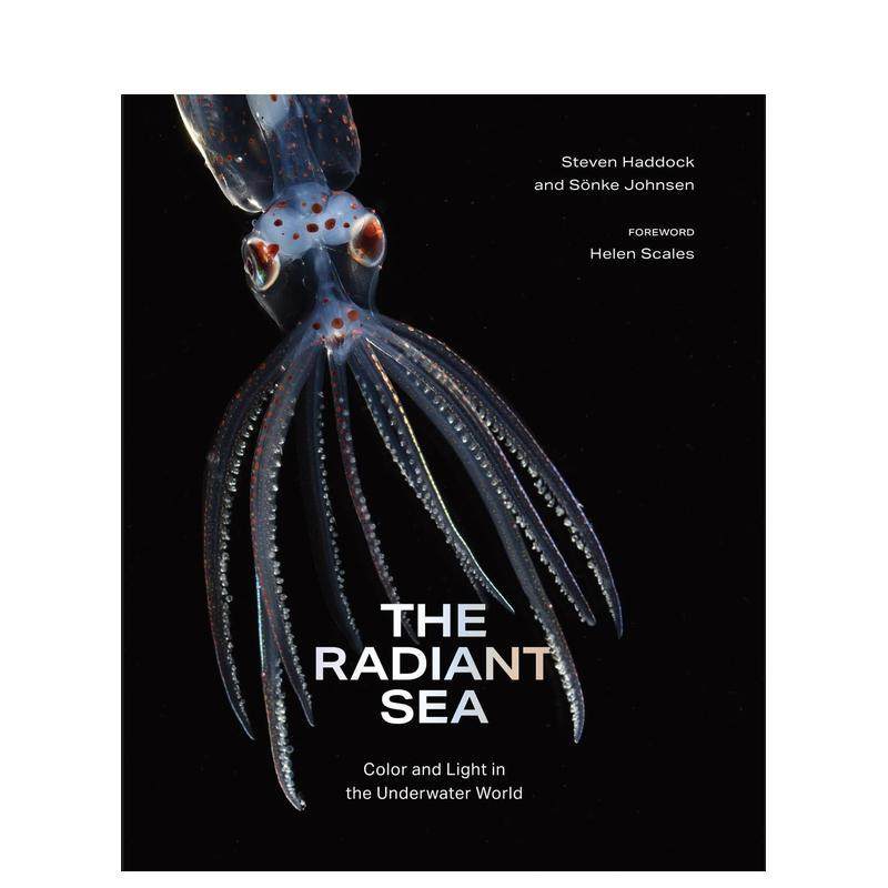 【预售】radiant sea：水下世界的色彩与光明 The Radiant Sea 原版英文摄影作品集自然景观,书籍/杂志/报纸,艺术类原版书,淘宝优惠券,粉丝福利购,淘宝优惠卷