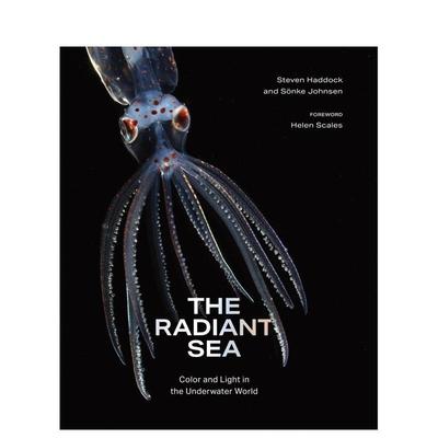 【预售】radiant sea：水下世界的色彩与光明 The Radiant Sea 原版英文摄影作品集自然景观