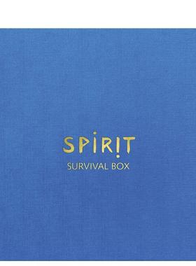 【预售】迪特尔?胡贝尔：精神，生存之盒 Dieter Huber 原版英文艺术画册画集