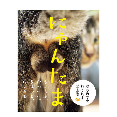 【预售】日文原版 猫咪的蛋蛋 にゃんたま 日文摄影作品集 日本正版进口书籍 善本图书