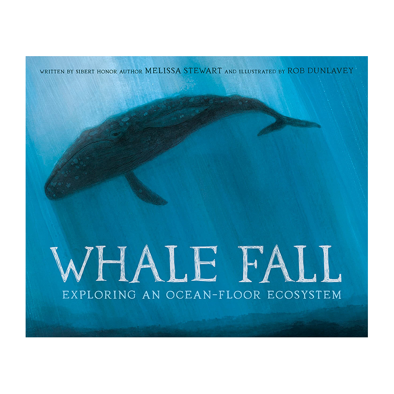 【预售】鲸落：探索海底生态系统 Whale Fall: Exploring an Ocean-Floor Ecosystem 进口原版英文儿童绘本图画书 善本图书
