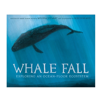 鲸落探索海底生态系统英文儿童