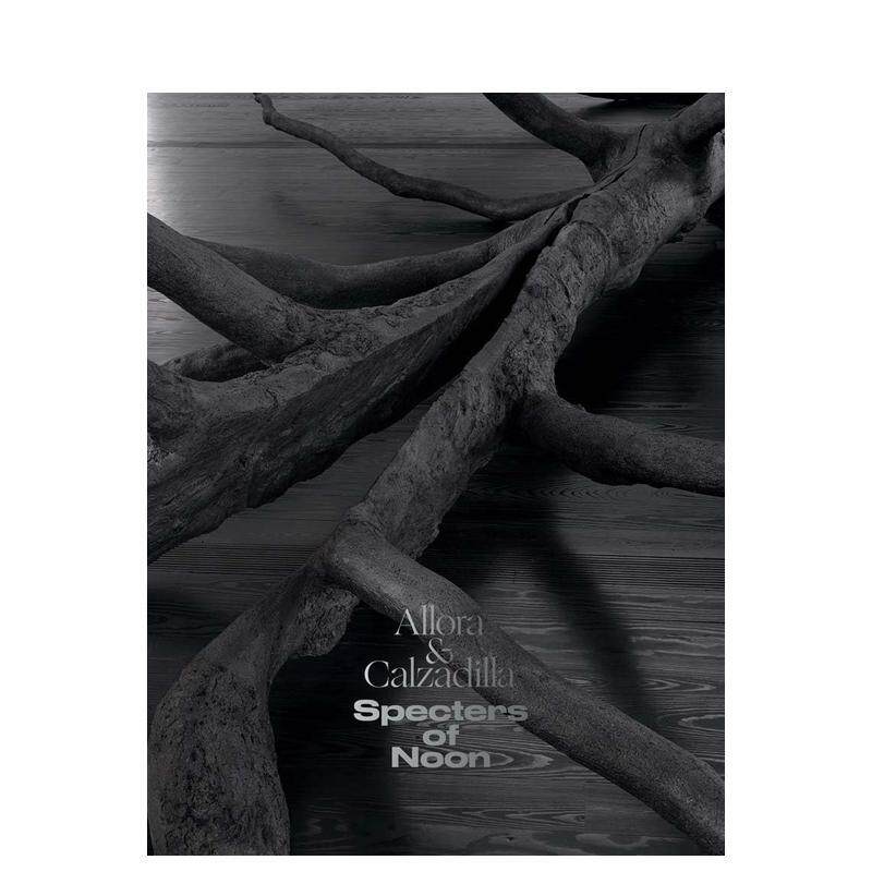 【预售】阿罗拉 & 卡尔萨迪拉 正午幽灵 Allora & Calzadilla Specters of Noon 原版英文艺术画册画集 善本图书