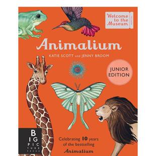 【预售】动物园 Animalium (Junior Edition) 原版英文儿童绘本