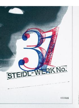 【预售】新加坡平面设计师Theseus Chan:机器中的幽灵 WERK视觉杂志创立人 Steidl-Werk No.31 原版英文艺术画册画集 善本图书