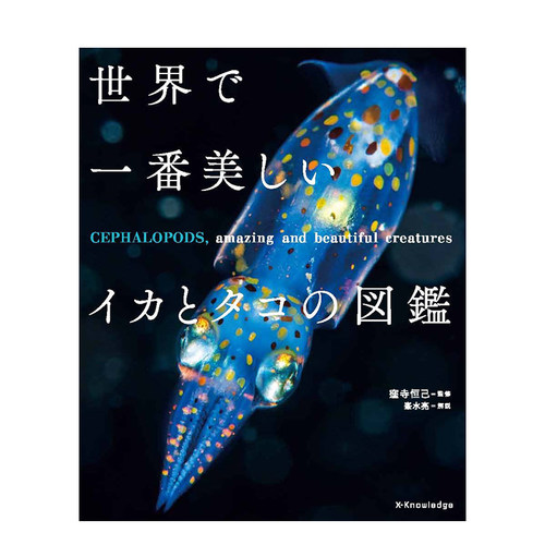 世界美丽乌贼与章鱼图鉴日文艺术