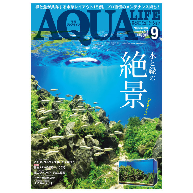 【订阅】AQUALIFE(月刊アクアライフ)观赏鱼饲养宠物杂志日本日文原版年订12期 E141 善本图书