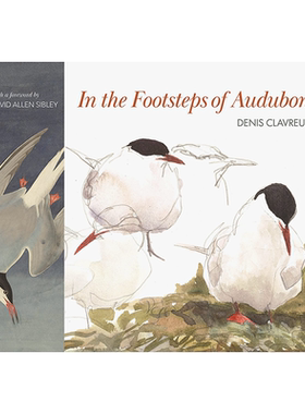 【现货】追随奥杜邦的脚步 In the Footsteps of Audubon 英文原版进口艺术插画绘画画册画集水彩画 善本图书