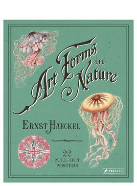【预售】[PRESTEL出版]Ernst Haeckel 恩斯特·海克尔：自然界中的艺术形式：22张拉出式海报
