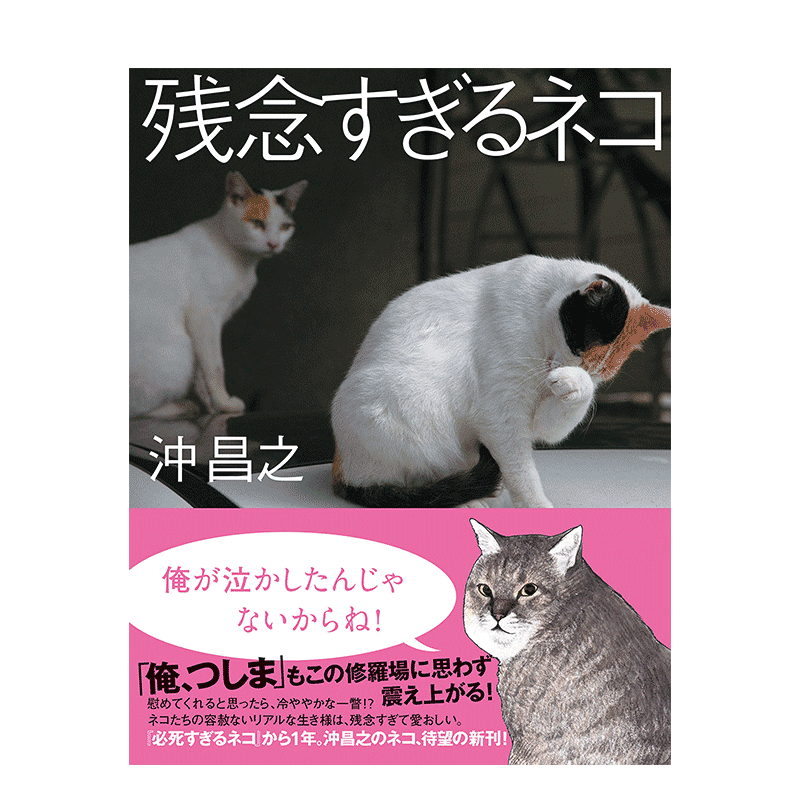 【预售】残念猫 残念すぎるネコ 进口日文原版 沖昌之 动物写真 摄影集