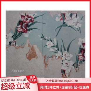 现货 Gathered 收集叶子 英文摄影作品集 Leaves 原版
