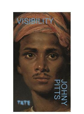 【预售】再次回顾：可见性 【Look Again】Visibility 原版英文艺术画册画集 善本图书