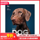 Visual 预售 The Encyclopedia Guide 狗狗百科：视觉指南 英文生活 进口原版 Dog Definitive 善本图书