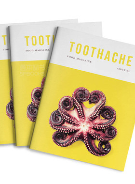 【XJ】【订阅】 TOOTHACHE 独立美食杂志 美国英文原版 年订2期 E414 善本图书