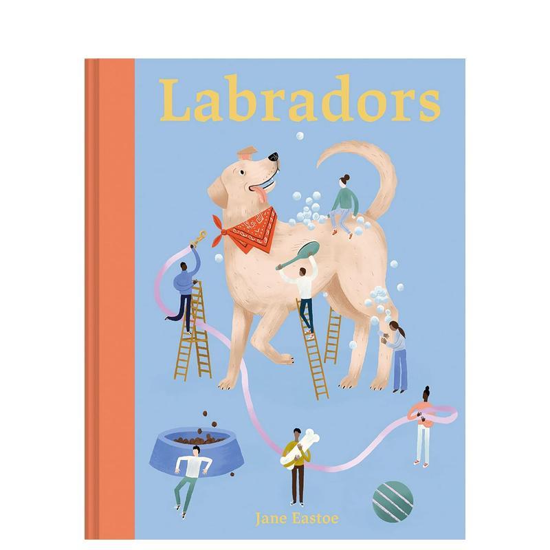 拉布拉多饲养指南 Labrad