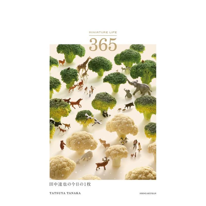 【预售】微型生活 365: 田中达也的今日一图 MINIATURE LIFE 365: 田中達也の今日の1枚  原版日文二次元 善本图书图片