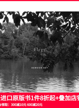 【预售】达沃德·贝：挽歌 Dawoud Bey: Elegy 原版英文摄影 善本图