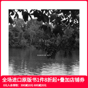 Dawoud Bey Elegy 英文摄影 达沃德·贝：挽歌 原版 善本图 预售