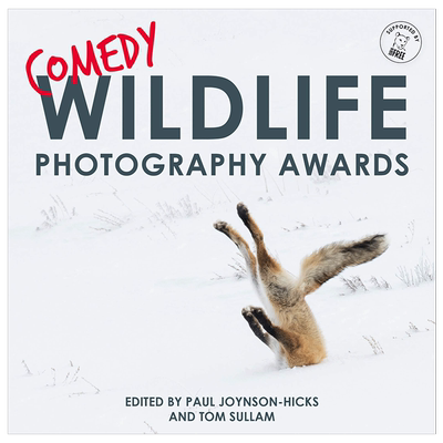 搞笑野生动物摄影奖Comedy