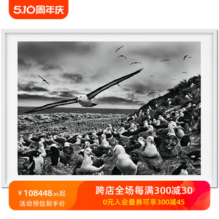 英文摄影 201 预售 原版 Sebastiao 300 起源 Salgado. 善本图书 TASCHEN限量版 GENESIS 塞巴斯蒂昂·萨尔加多