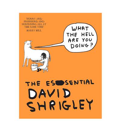 【预售】英国插画师David Shrigley：你到底在干嘛？ What The Hell Are You Doing? 原版英文艺术画册画集 善本图书