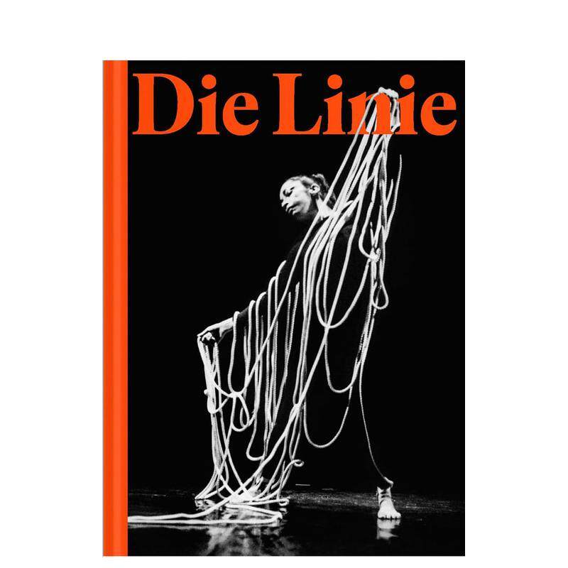 【预售】线条:海蒂·霍滕收藏 Die Linie: Heidi Horten Collection 原版英文艺术画册画集 善本图书
