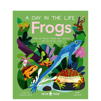 【动物的一天】青蛙 马 虫子【A Day in the Life】Frogs （可单拍） 原版英文儿童读物 善本图书