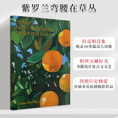 Backwards Bent 德雷诗歌集 Grass 诗集 Over the Violet 善本图书 现货 拉娜 精装 打雷姐新书作品集 Lanadelrey诗集