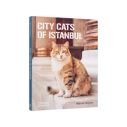 【预售】伊斯坦布尔的街头猫 City Cats of Istanbul 土耳其 人文风情 原版英文摄影作品集人文景观 T&H