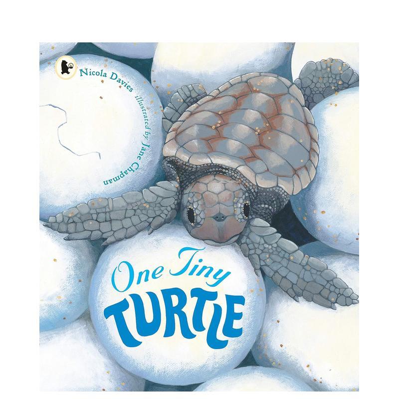 一只小乌龟 （新版） One