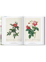 【预售】【TASCHEN 45周年纪念版】雷杜德：花之书 Redoute Book of Flowers 花卉画家雷杜特水彩作品集 英文原版绘画画册善本图书 thumbnail 5