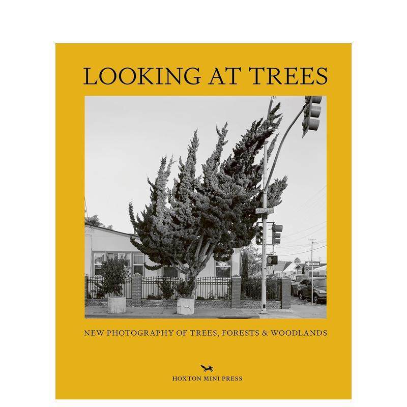 【现货】观树 Looking at Trees 原版英文摄影自然景观 善本图书
