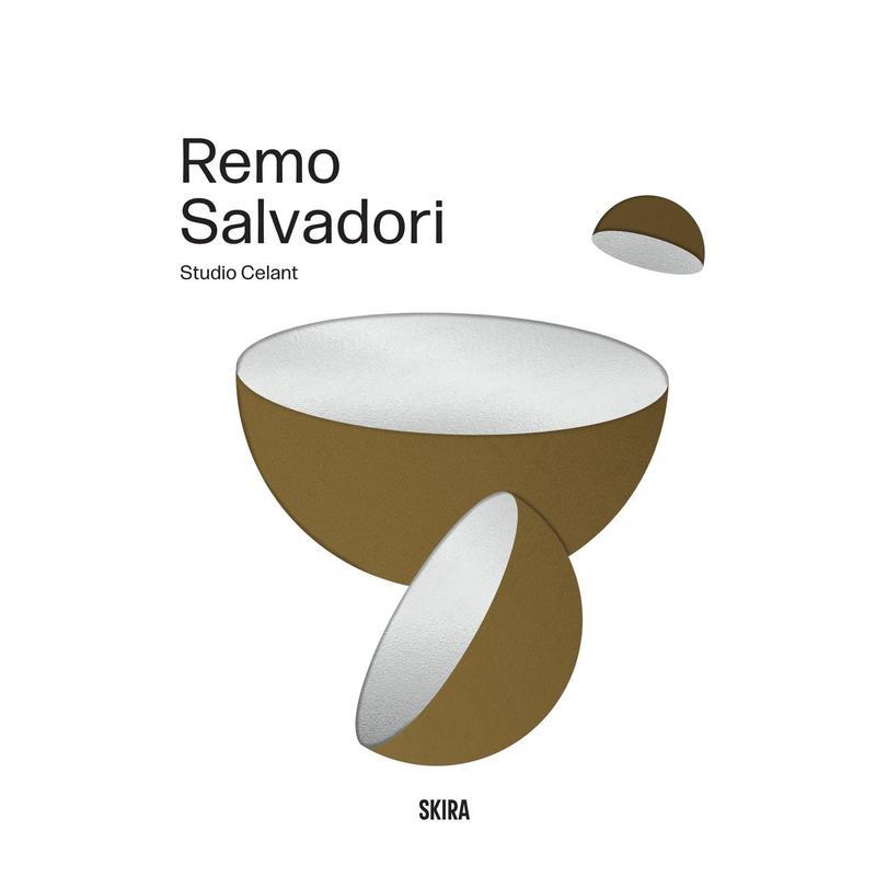 【预售】雷莫·萨尔瓦多里 Remo Salvadori 原版英文艺术画册画集
